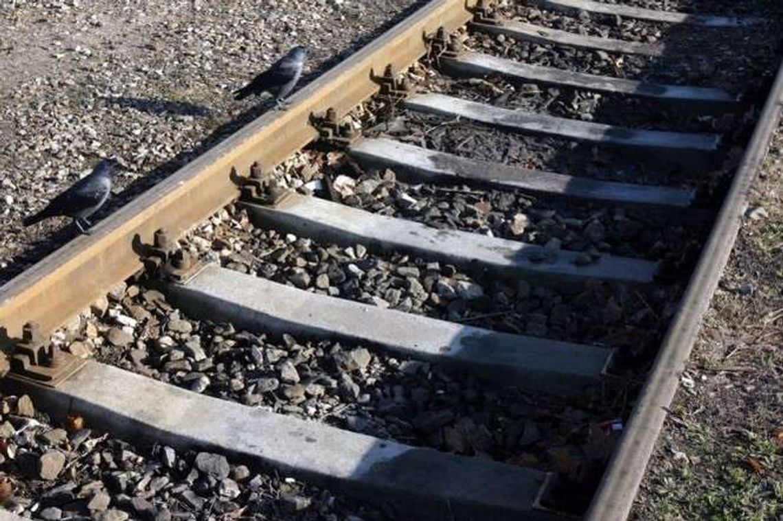 Tragedia na torach kolejowych. Zginęła kobieta Tragedia na torach kolejowych. Zginęła kobieta