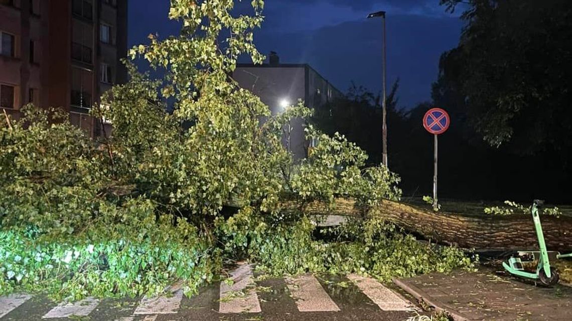 Tragiczny bilans nawałnic. Dwie osoby nie żyją. Jest wiele zniszczeń [wideo]