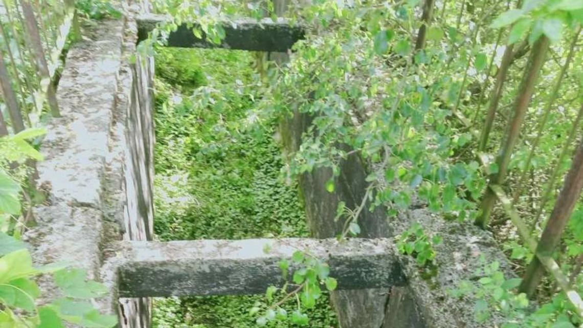 Tragiczny finał poszukiwań 67-latka