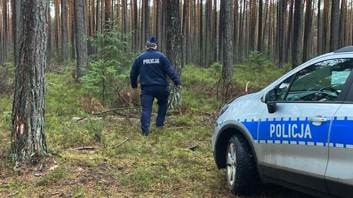 Tragiczny finał poszukiwań. Ciało seniorki znalezione w lesie Tragiczny finał poszukiwań. Ciało seniorki znalezione w lesie