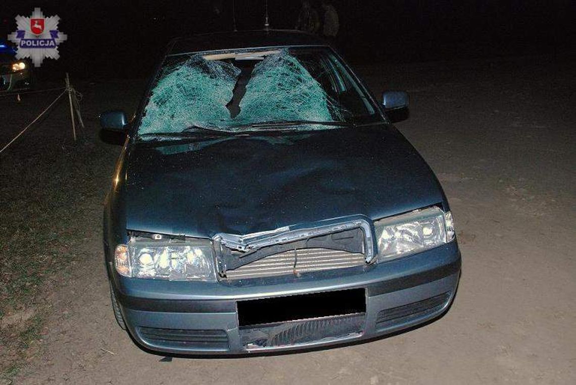 Tragiczny wypadek koło Radzynia. Nie żyje pieszy