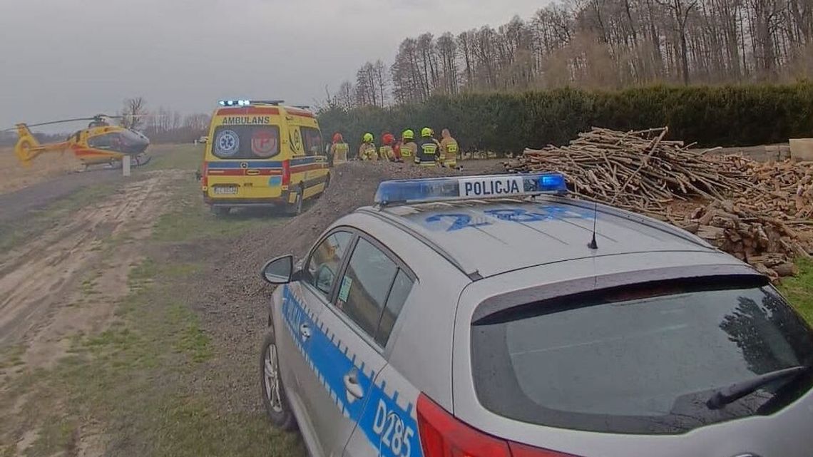 Tragiczny wypadek przy cięciu drzewa