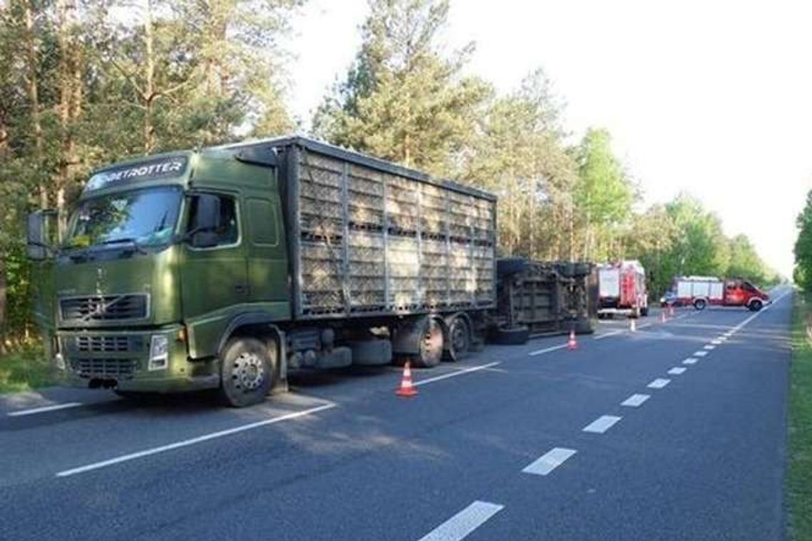 Transport kurczaków zakończył się wywrotką