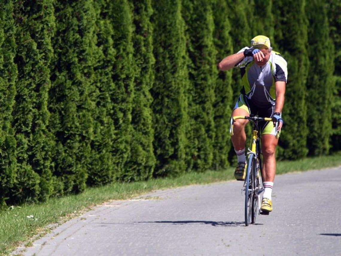 Trasa rowerowa: Centralny szlak rowerowy Roztocza Trasa rowerowa: Centralny szlak rowerowy Roztocza