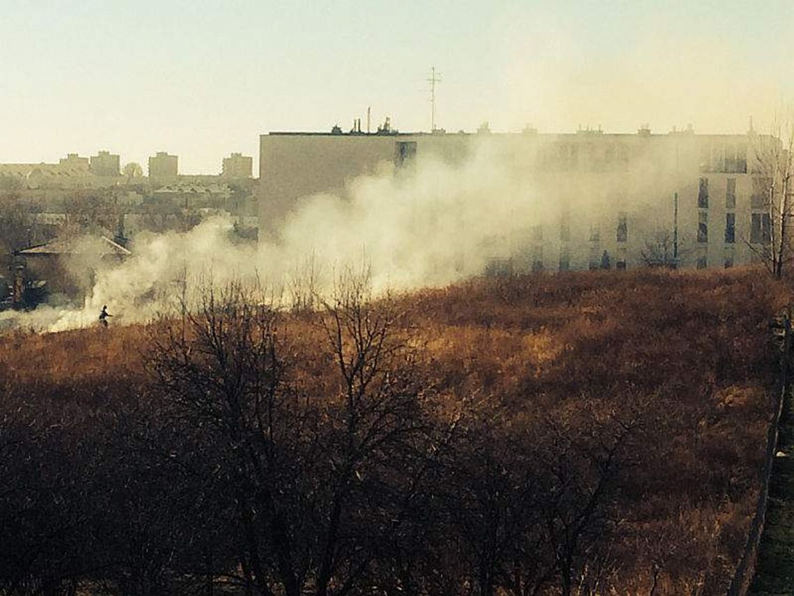 Trawy znowu płoną Trawy znowu płoną