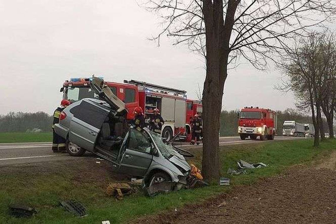 Trojaczkowice: Samochód uderzył w drzewo, utrudnienia w ruchu