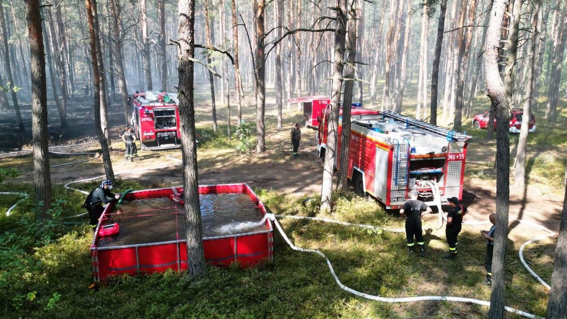 Trudna akcja gaszenia pożaru lasu. Ucierpiał strażak 
