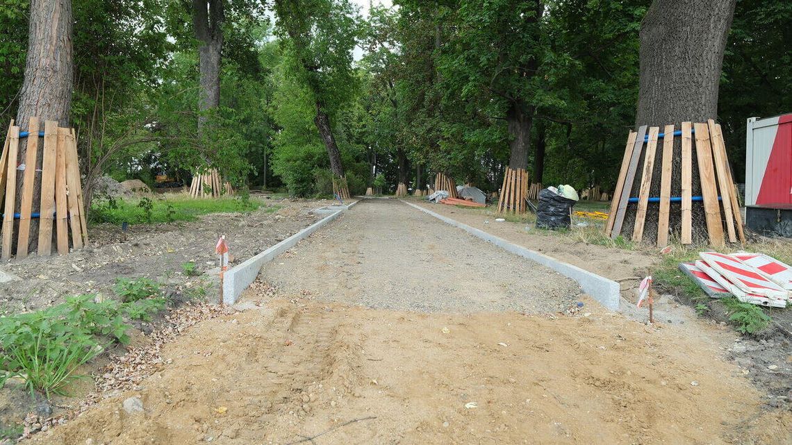 Trwa rewitalizacja Parku Bronowickiego. Prace nabierają tempa