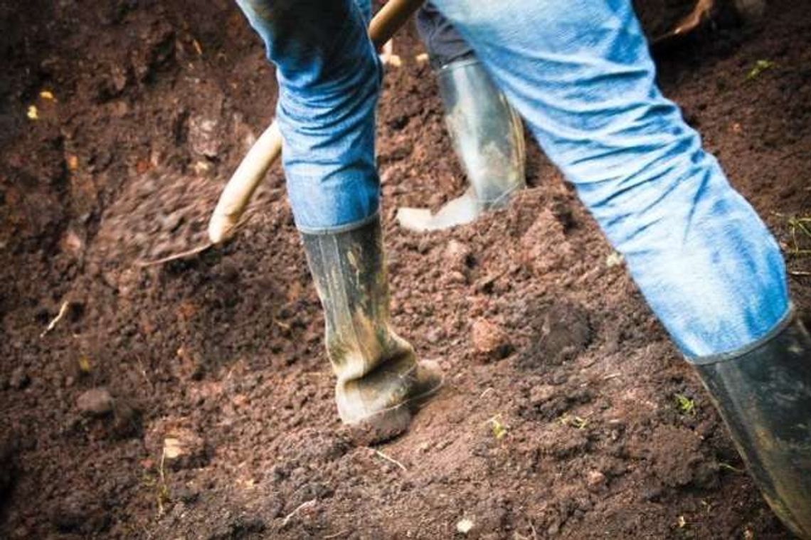 Trwa sezon pracy dorywczej. Ile można zarobić?