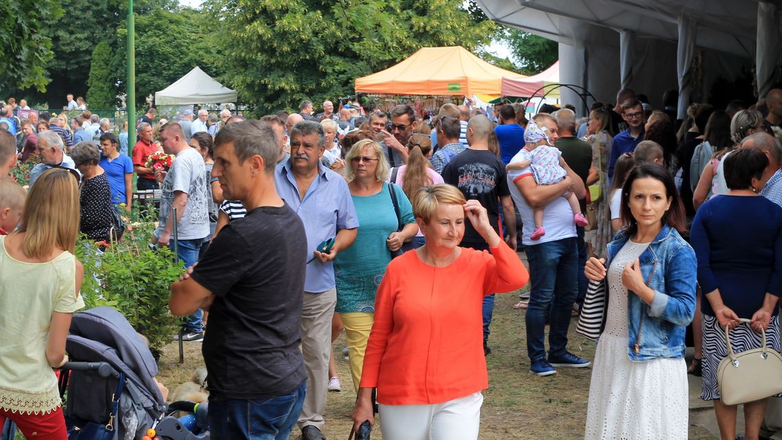 Trwa Święto Róż, rodzinny festyn w Końskowoli Trwa Święto Róż, rodzinny festyn w Końskowoli