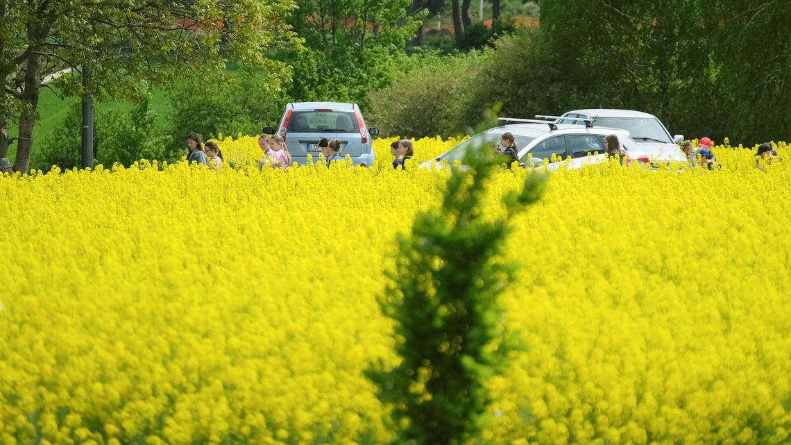 Trzęsienie ziemi na lubelskiej wsi. Jakie są najważniejsze zmiany?