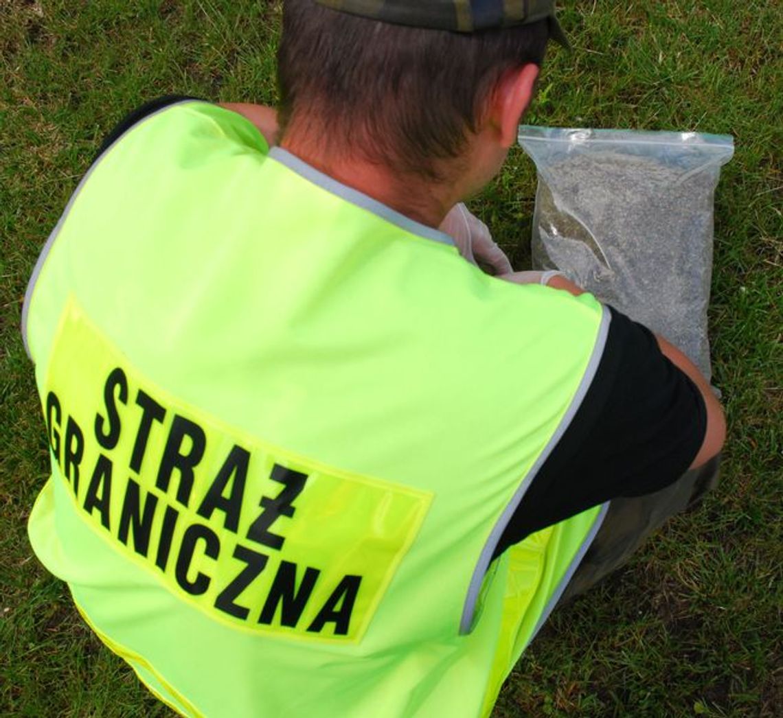 Trzy kilogramy marihuany w busie jadącym do Lublina z Holandii Trzy kilogramy marihuany w busie jadącym do Lublina z Holandii