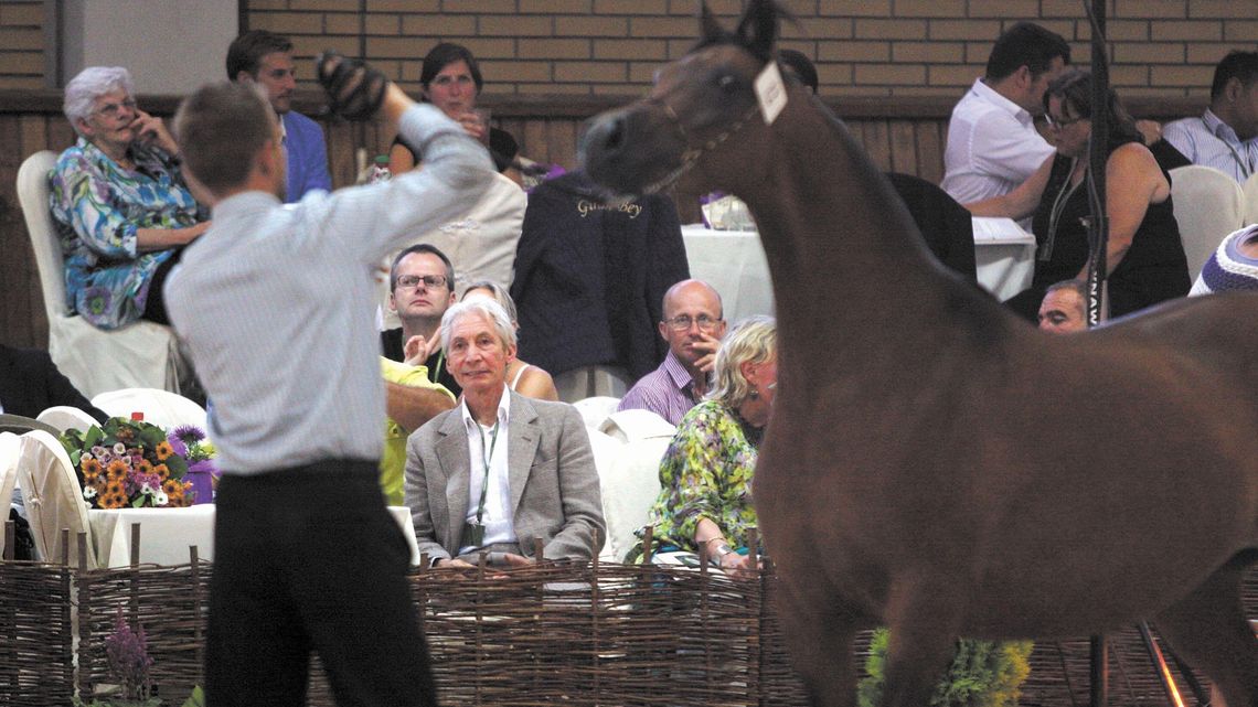 Trzy lata "dobrej zmiany" w stadninach. "Nie mam pojęcia co można zrobić, żeby sytuację naprawić"