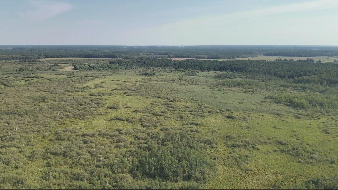 Trzy nowe rezerwaty przyrody na Lubelszczyźnie Trzy nowe rezerwaty przyrody na Lubelszczyźnie