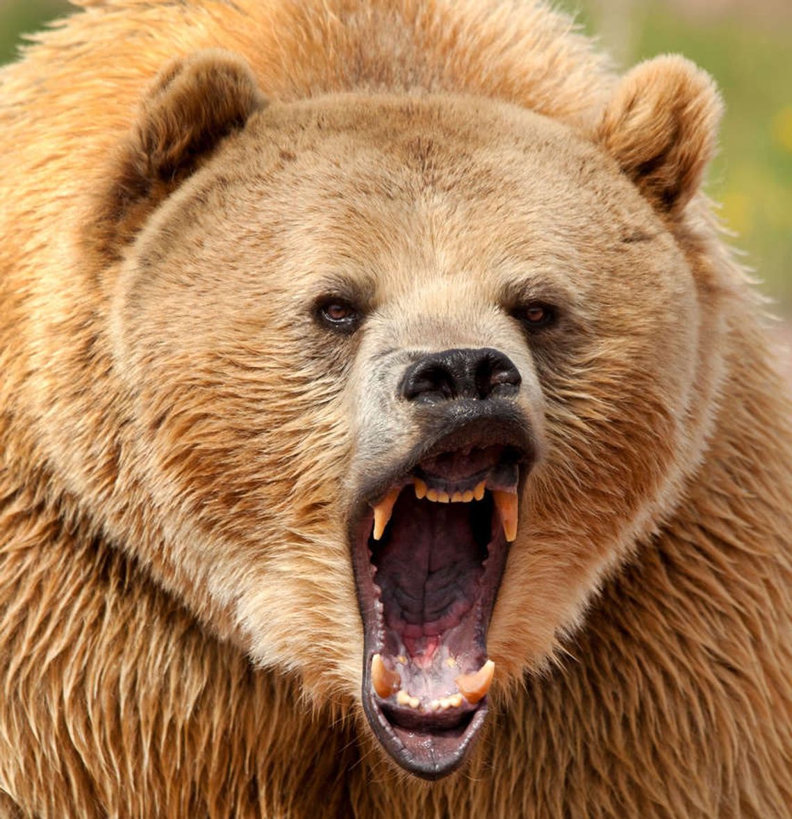 Trzydnik Duży. Apelują o odpowiednie oznakowanie posesji