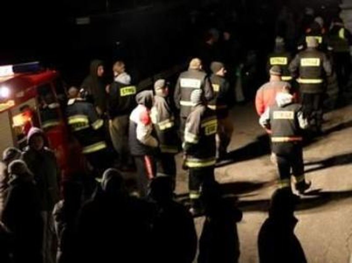 Trzylatka odnaleziona. Spędziła noc w lesie