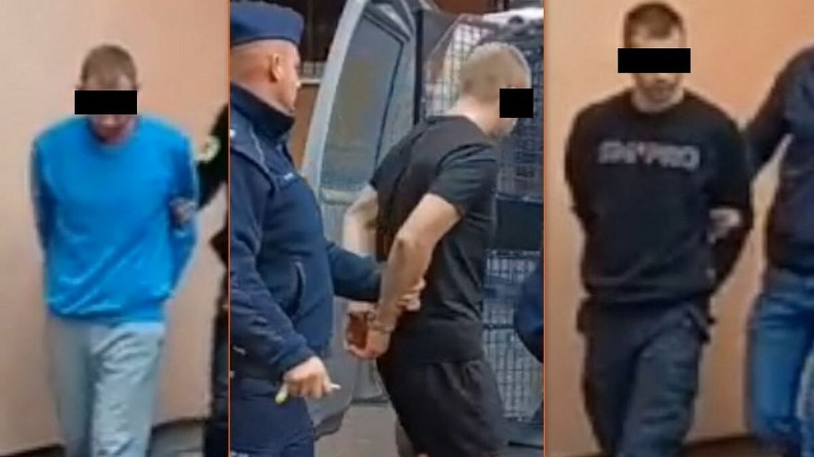 Trzymetrowe krzewy konopi rosły w sadzie między jabłoniami. Trzej mężczyźni z zarzutami