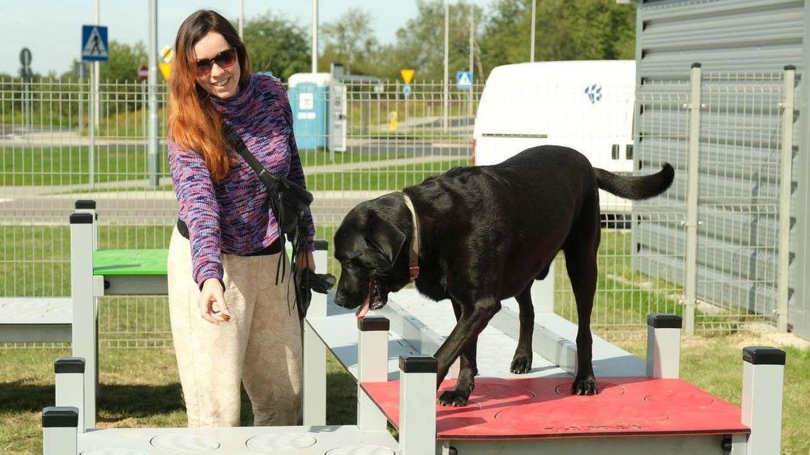 Tunele i labirynt. Takiego placu zabaw dla psów w Lublinie jeszcze nie było Tunele i labirynt. Takiego placu zabaw dla psów w Lublinie jeszcze nie było