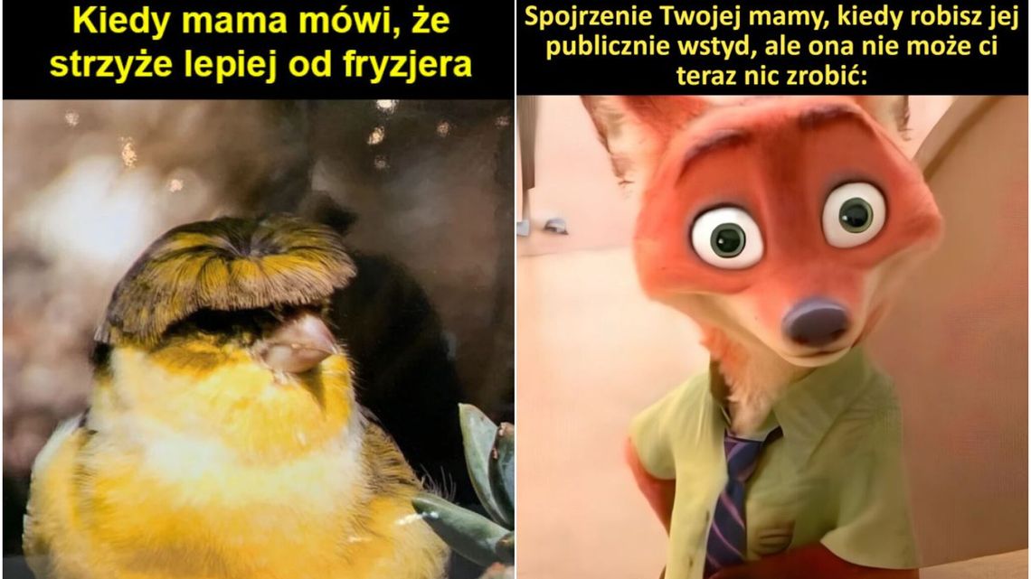 "Ty nie jesteś wszyscy" – kultowe teksty mam, które przeszły do historii (i memów)