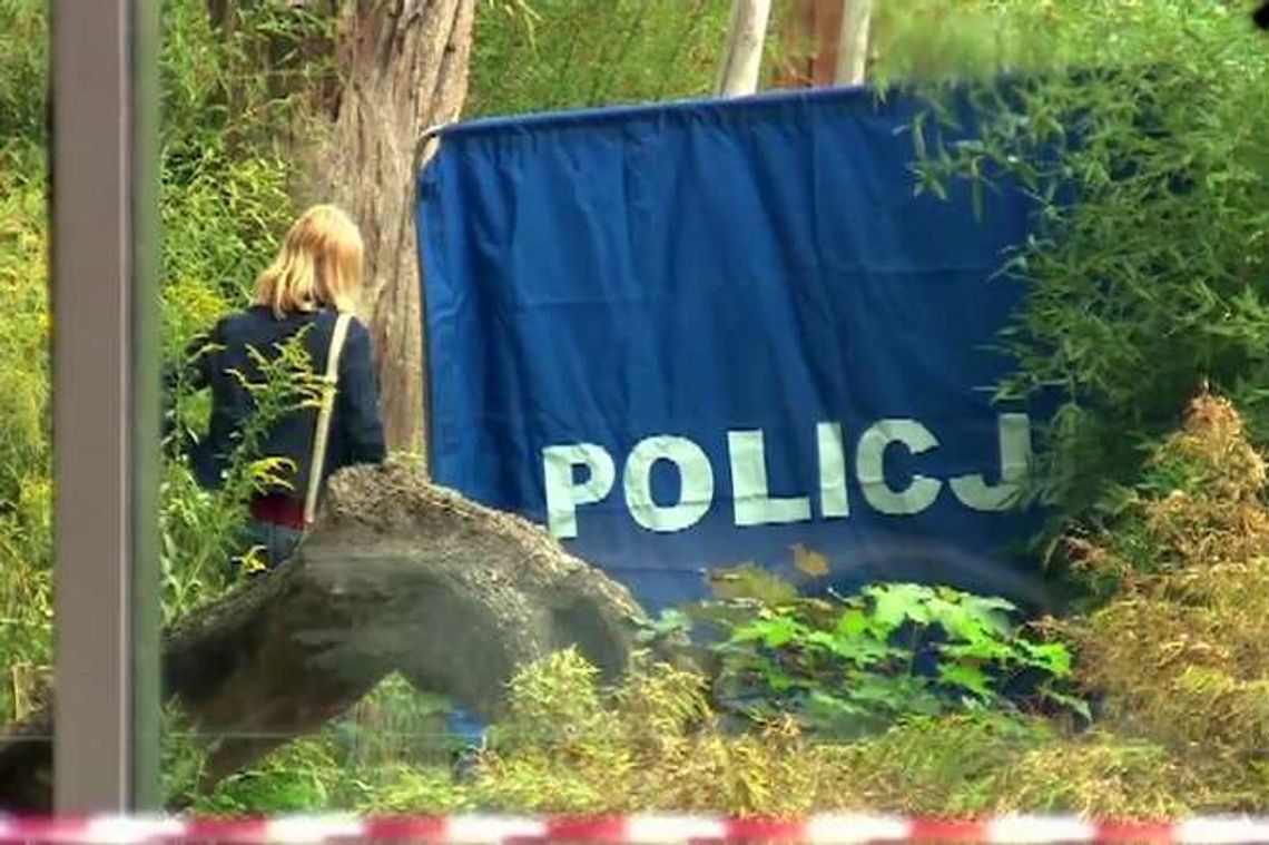 Tygrys zabił pracownika ZOO we Wrocławiu (wideo)