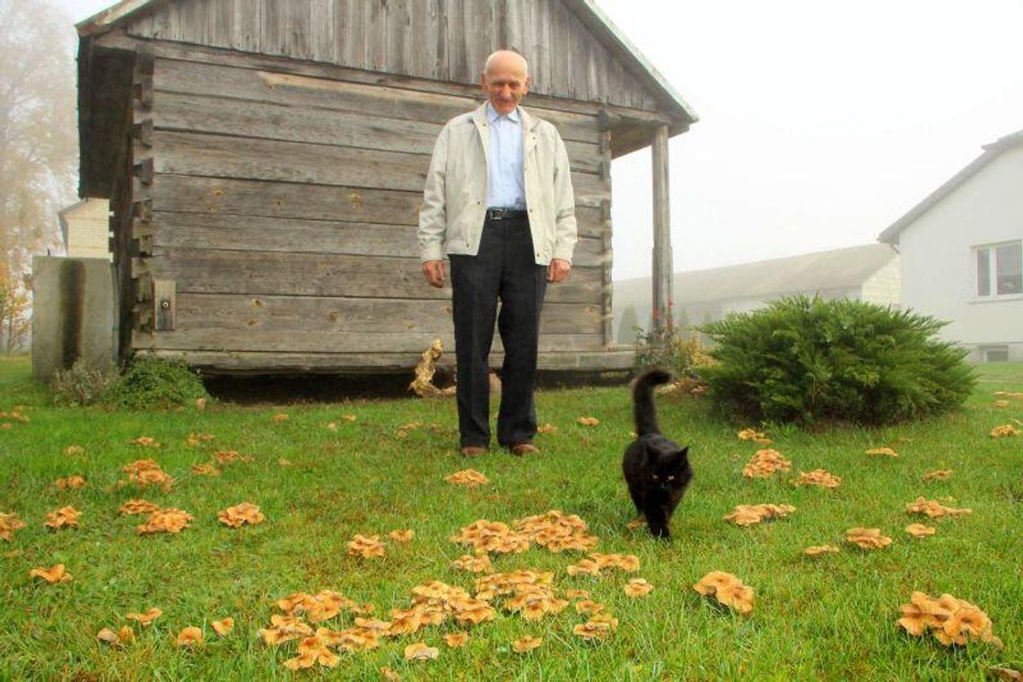 Tysiąc opieniek na działce pana Wiesława