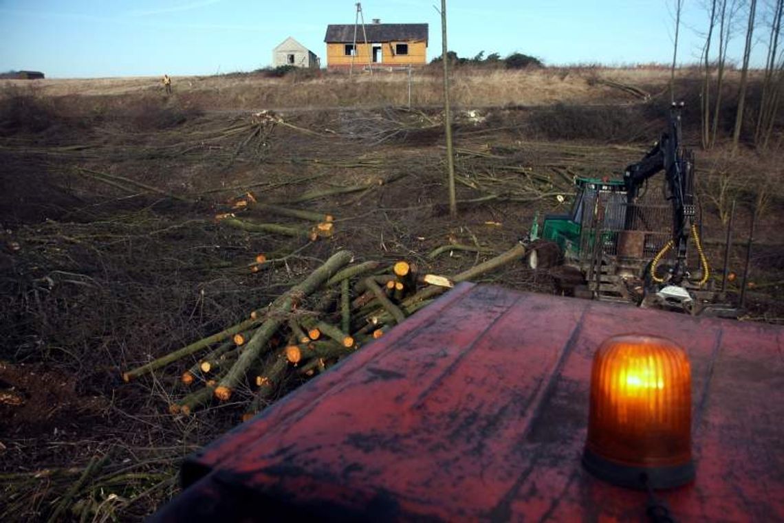 Tysiące drzew i krzewów pod topór. Tak powstaje zachodnia obwodnica Lublina (wideo) Tysiące drzew i krzewów pod topór. Tak powstaje zachodnia obwodnica Lublina (wideo)