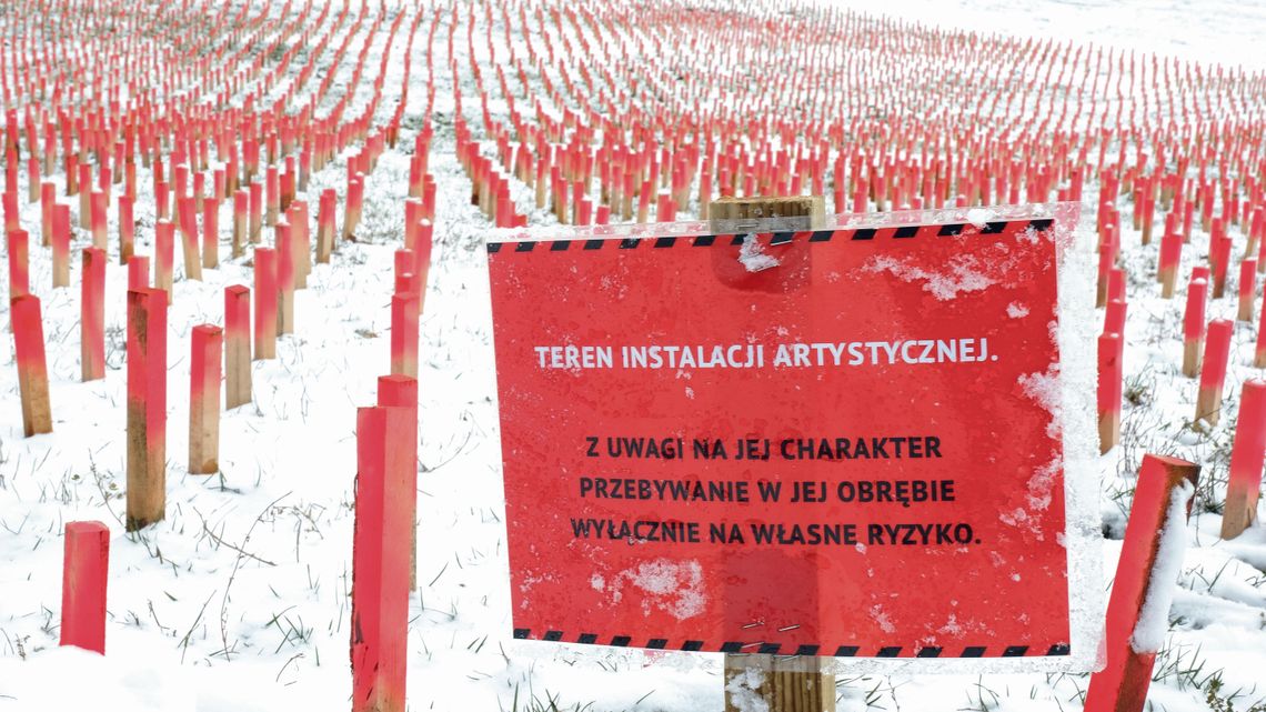 Tysiące palików w wąwozie między LSM i Czubami. Nie wszystkim mieszkańcom się podobają [zdjęcia]
