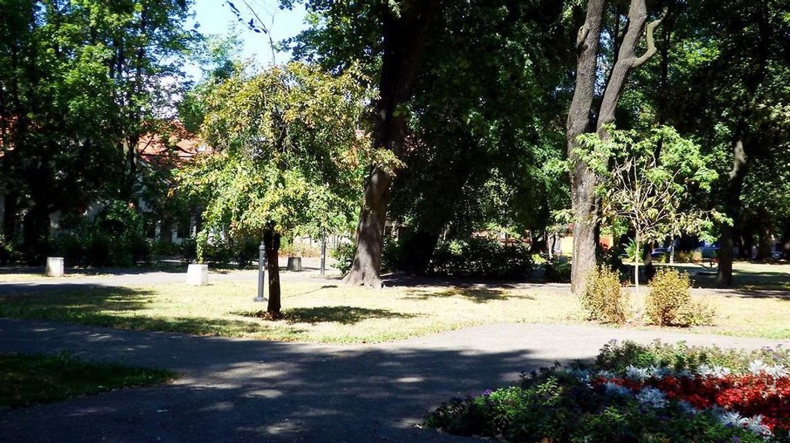 U nich Kopernik, u nas Skłodowska? W parku Bronowickim ma powstać lubelskie centrum nauki