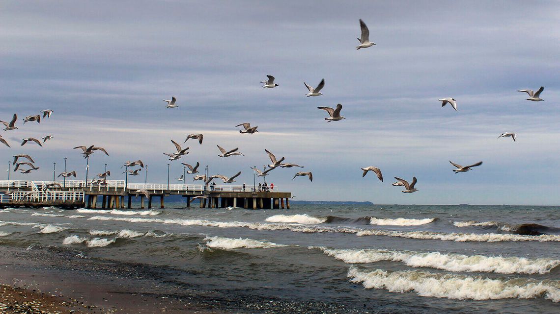 Uchwycił piękno. Zdjęcia Sebastiana Rapy na wystawie w MDK