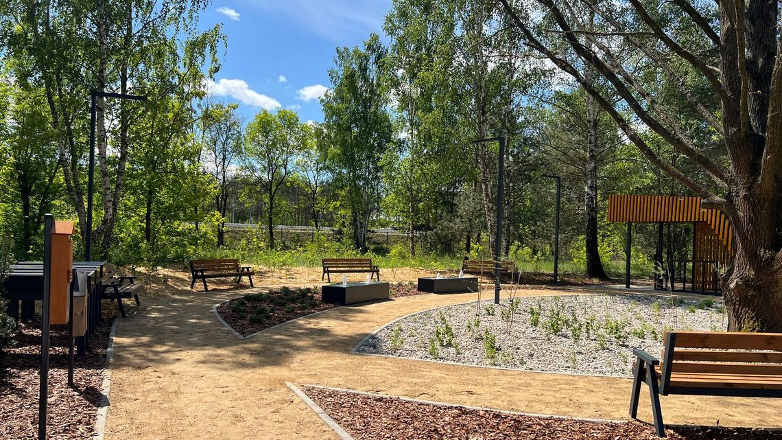 Uczelnia stworzyła swój park kieszonkowy. Pierwszy las Miywaki w mieście Uczelnia stworzyła swój park kieszonkowy. Pierwszy las Miywaki w mieście