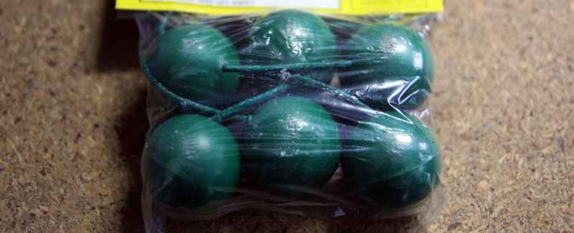 Uczeń przyniósł petardę do szkoły i wystrzelił na korytarzu Uczeń przyniósł petardę do szkoły i wystrzelił na korytarzu