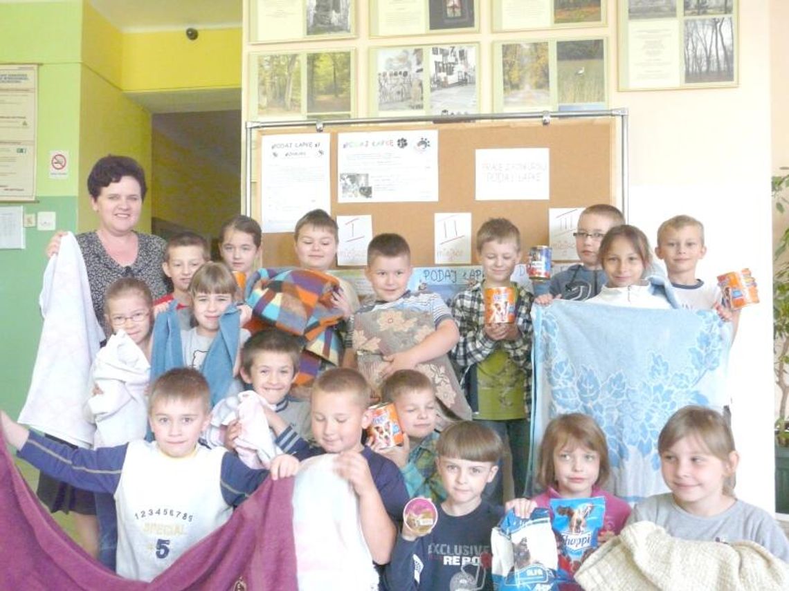 Uczniowie pomagają bezdomnym zwierzętom