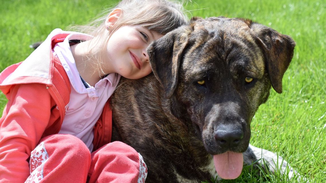 Uczniowie z woj. lubelskiego pomagają zwierzętom i nie zgadzają się na wycinkę drzew