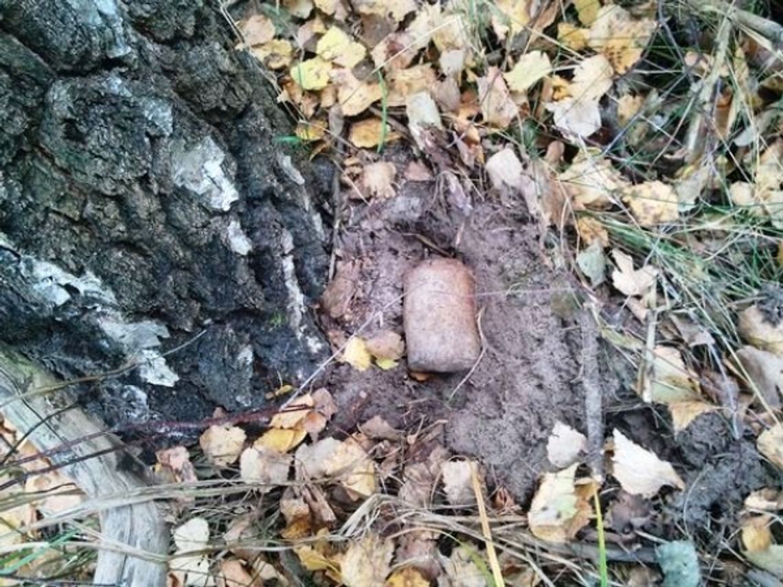 Uczniowie znaleźli granat z czasów wojny. Przenieśli go kilka kilometrów dalej