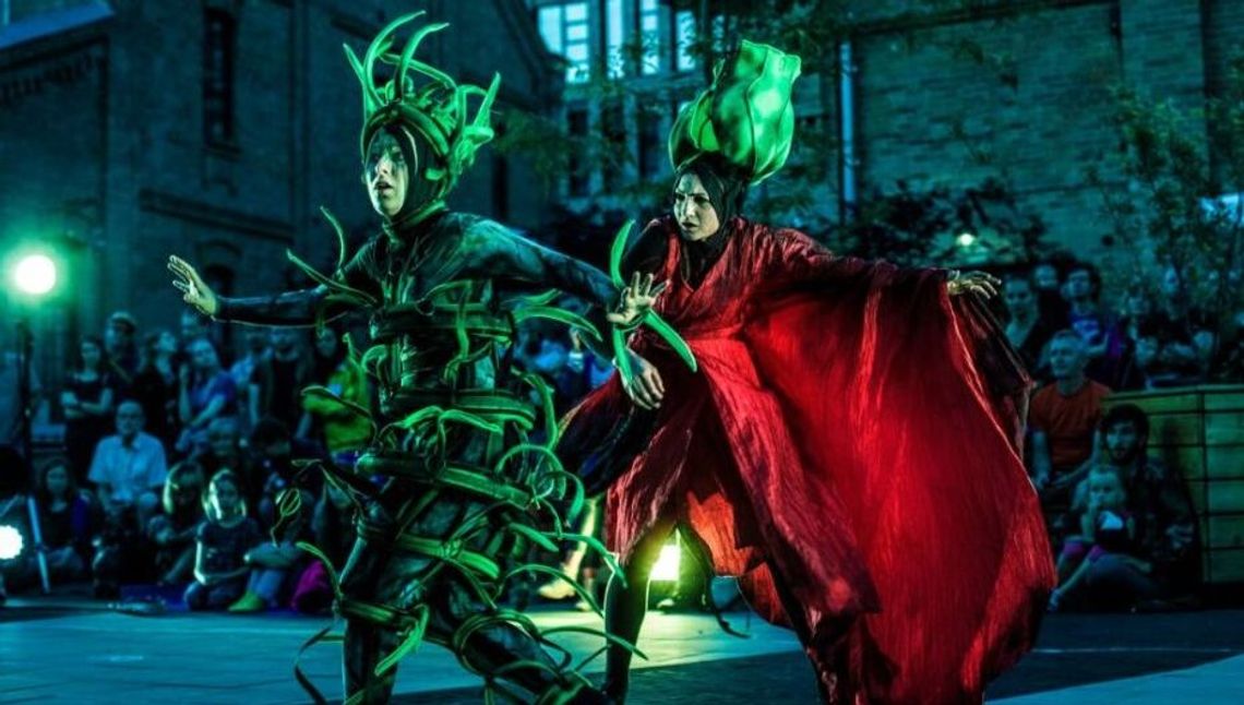 „Uczta pełna niezwykłych wrażeń”. IV edycja Świdnickiej Nocy Kultury