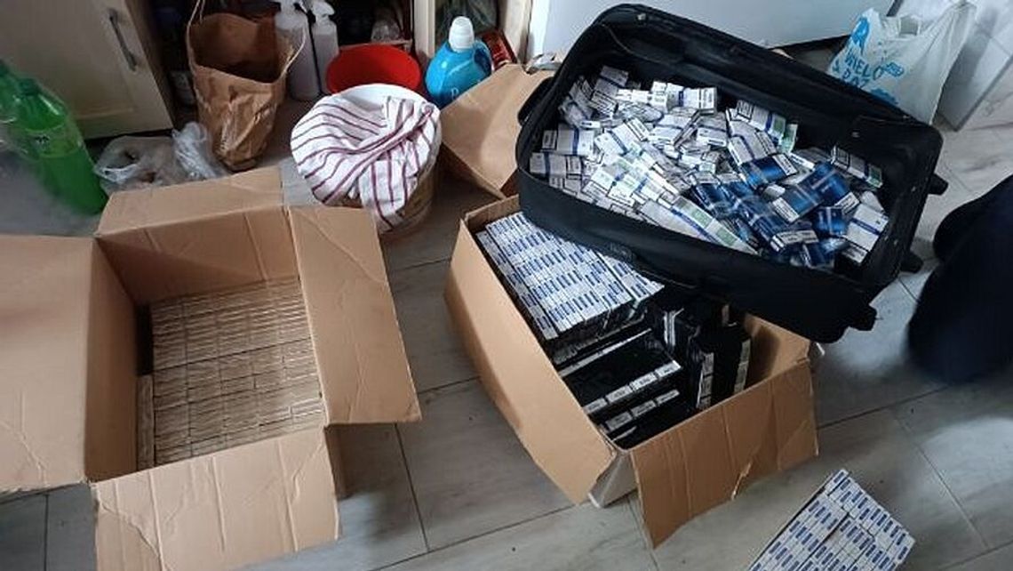 Uderzenie w przemytników. Zniszczą ponad 7 tysięcy paczek papierosów Uderzenie w przemytników. Zniszczą ponad 7 tysięcy paczek papierosów