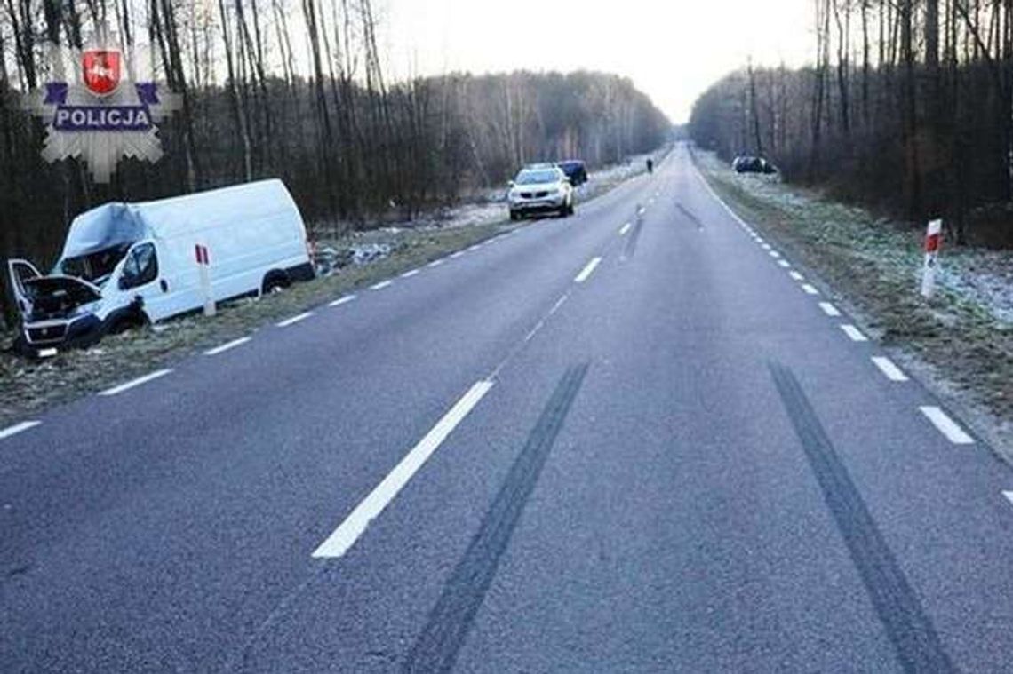 Uderzył samochodem w łosia. Zwierzę wpadło na szybę drugiego auta