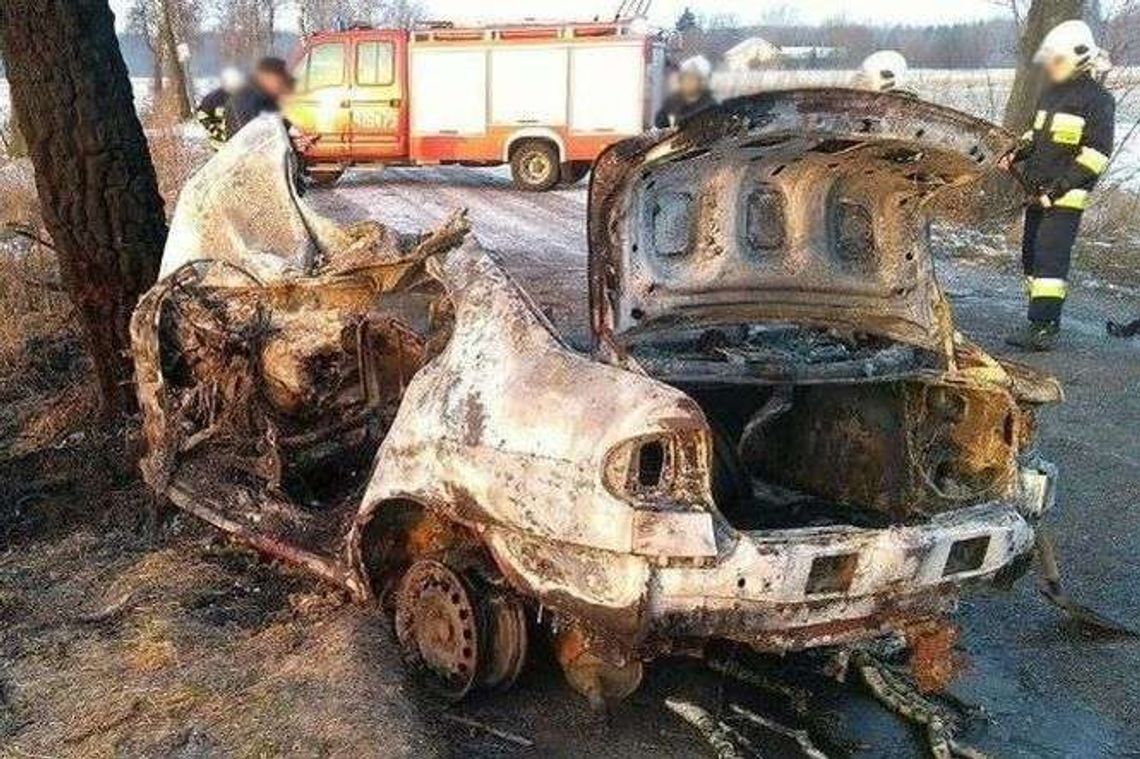 Uderzył w drzewo, renault stanęło w ogniu. Zginęło 5 osób [zdjęcia]