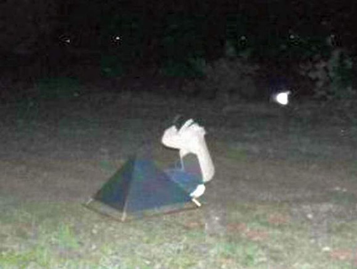 UFO i kule plazmy? Badacze sprawdzili niezwykłe zjawiska