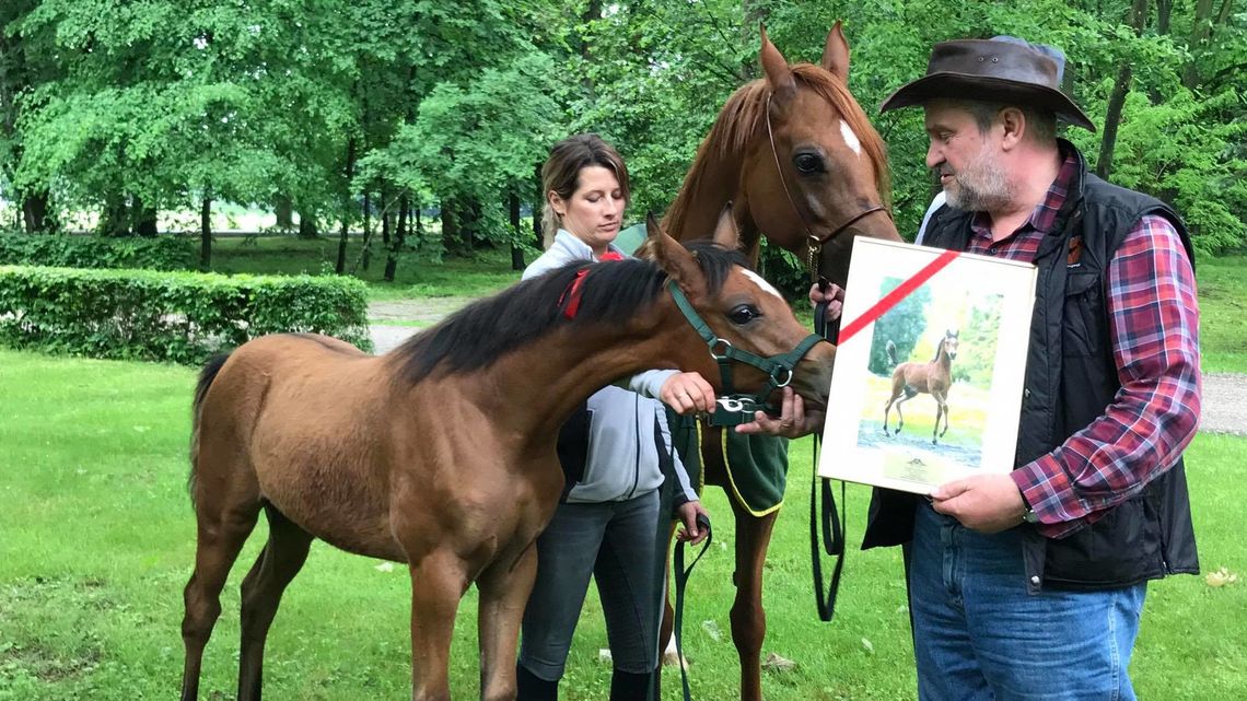 Ujawnienie wyników finansowych stadniny w Janowie Podlaskim się opóźnia. Kiedy je poznamy? 