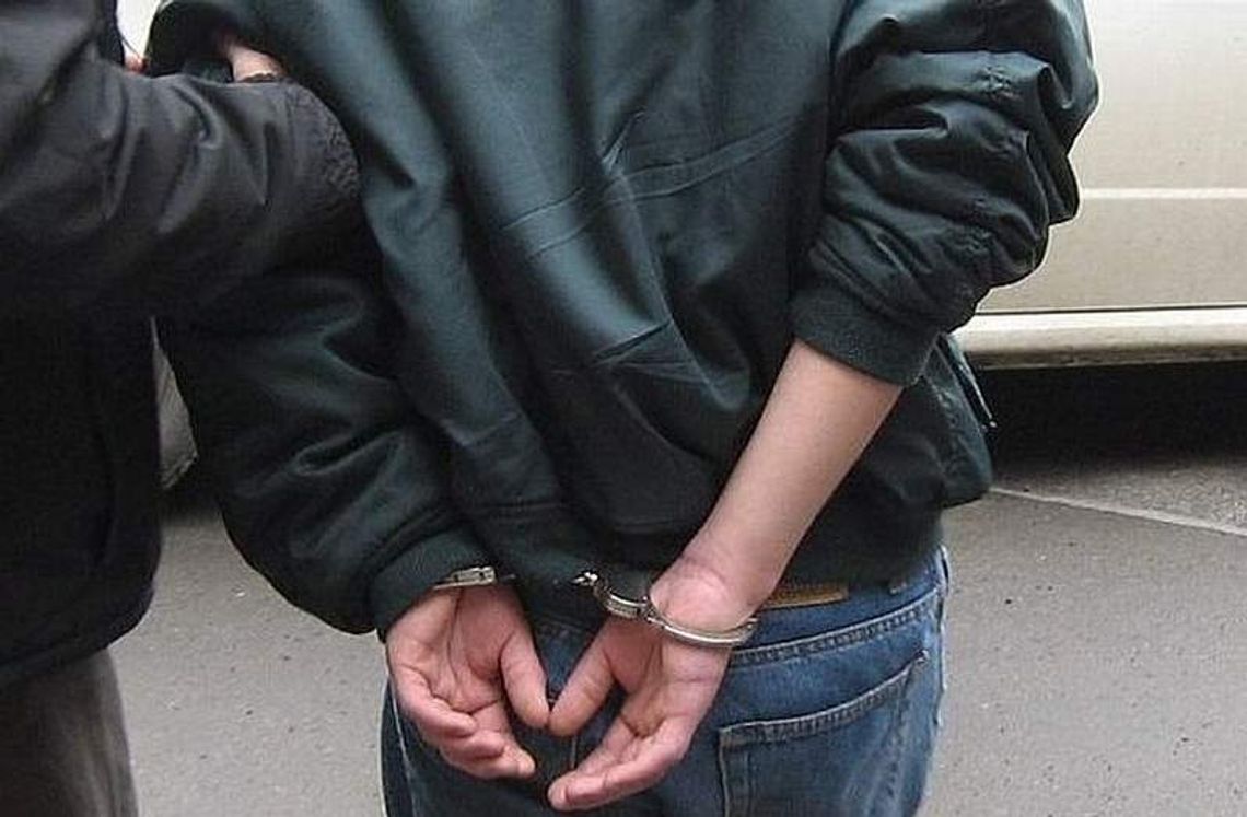 Ukradł kobiecie torebkę i ukrył się w krzakach