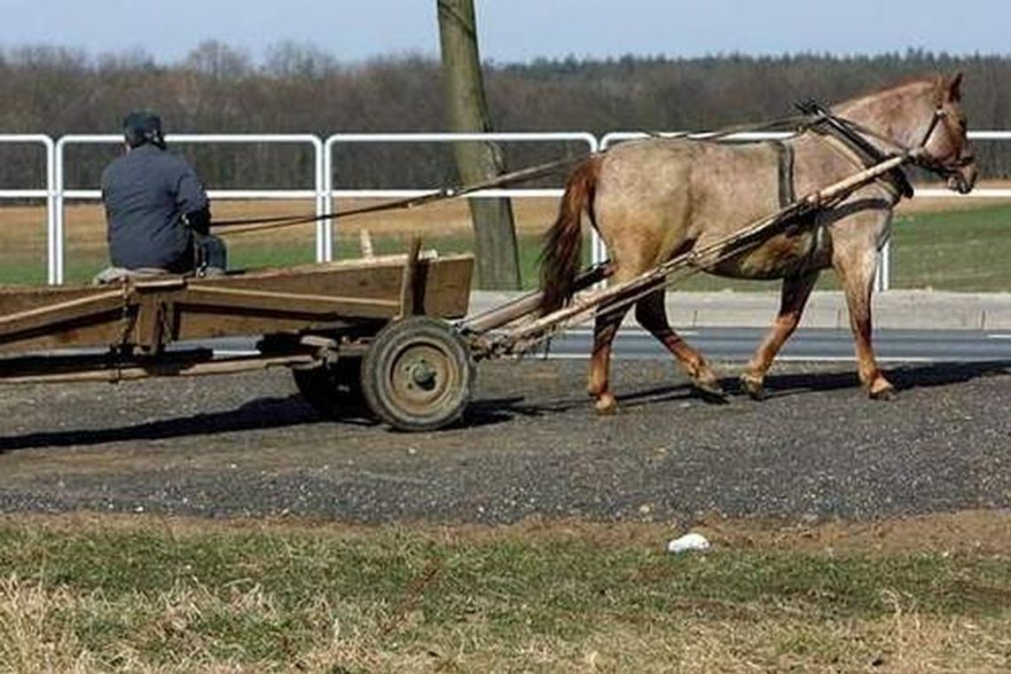 Ukradł konia z zaprzęgiem, bo chciał pojechać do kolegi