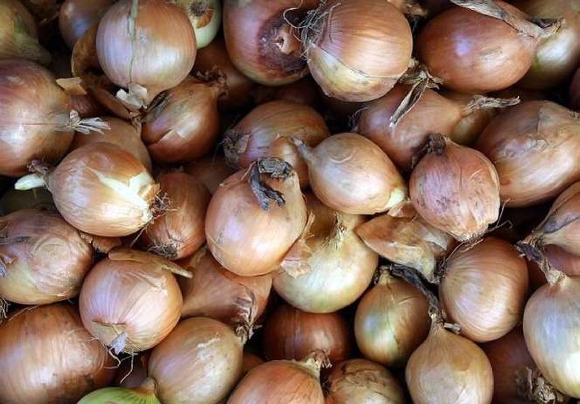 Ukradli 300 kg cebuli. Teraz będą płakać