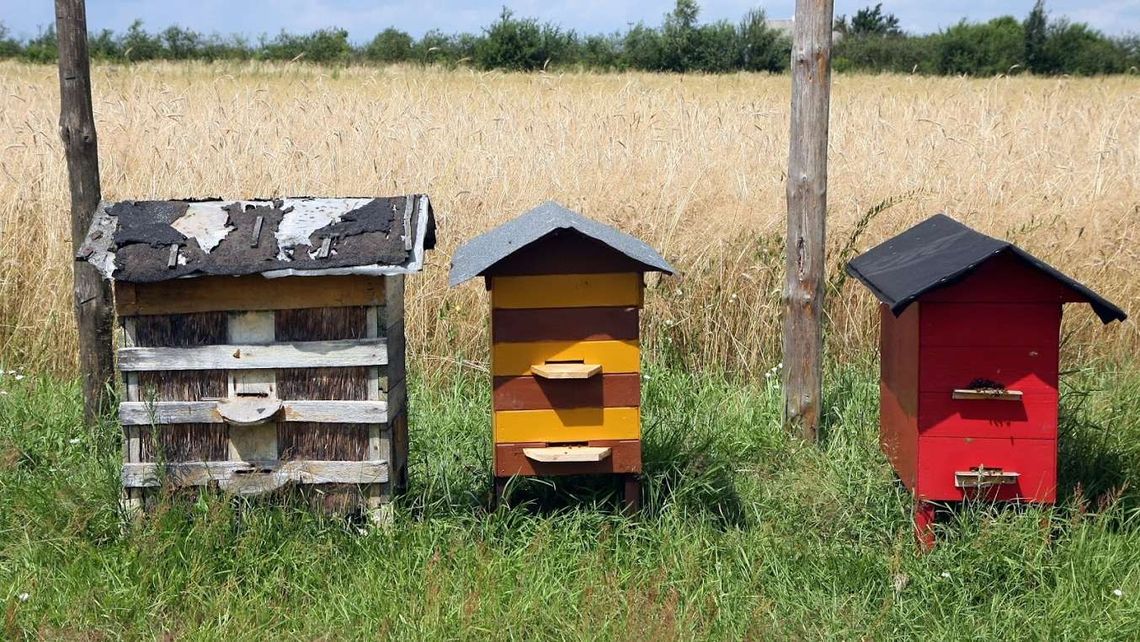 Ukradli mu ule warte kilka tysięcy zł. Podejrzewa, kto mógł to zrobić. "To haniebne"