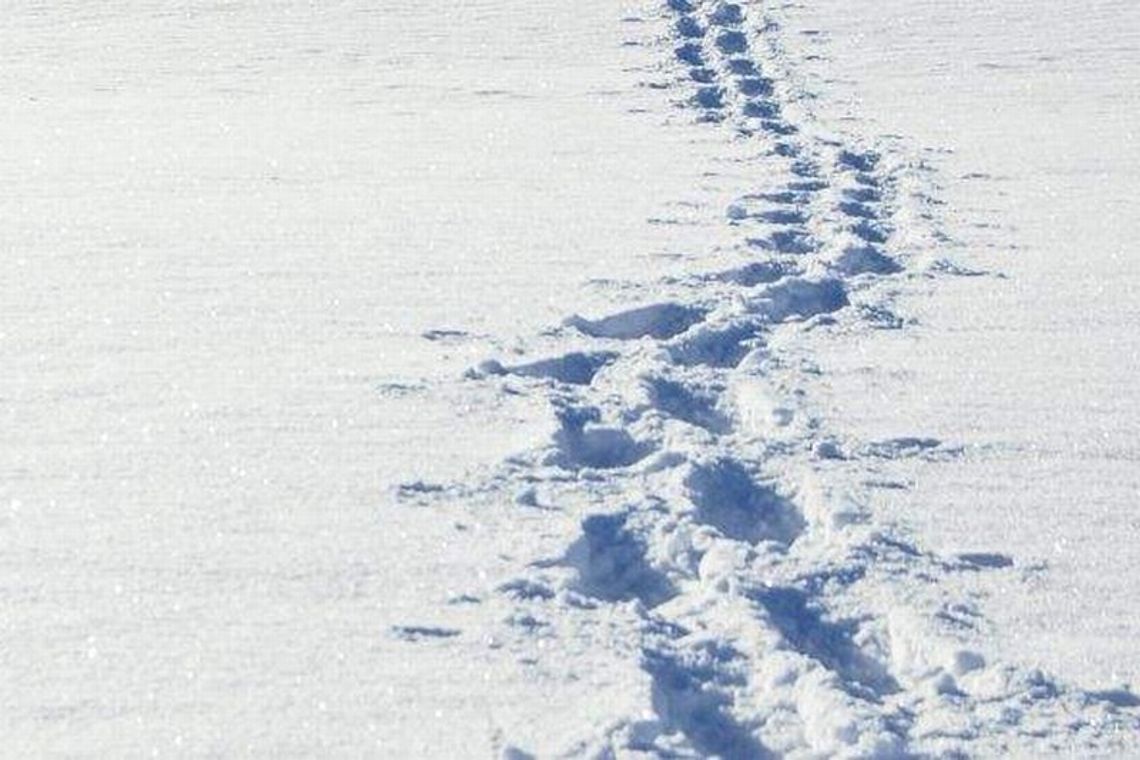 Ukradli złom, ale zostawili ślady na śniegu