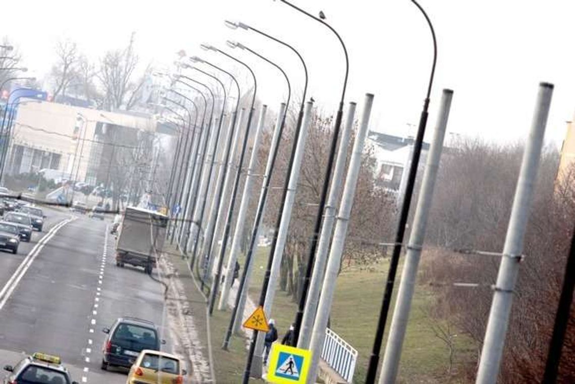 Ul. Armii Krajowej: Chcą usunięcia lasu słupów