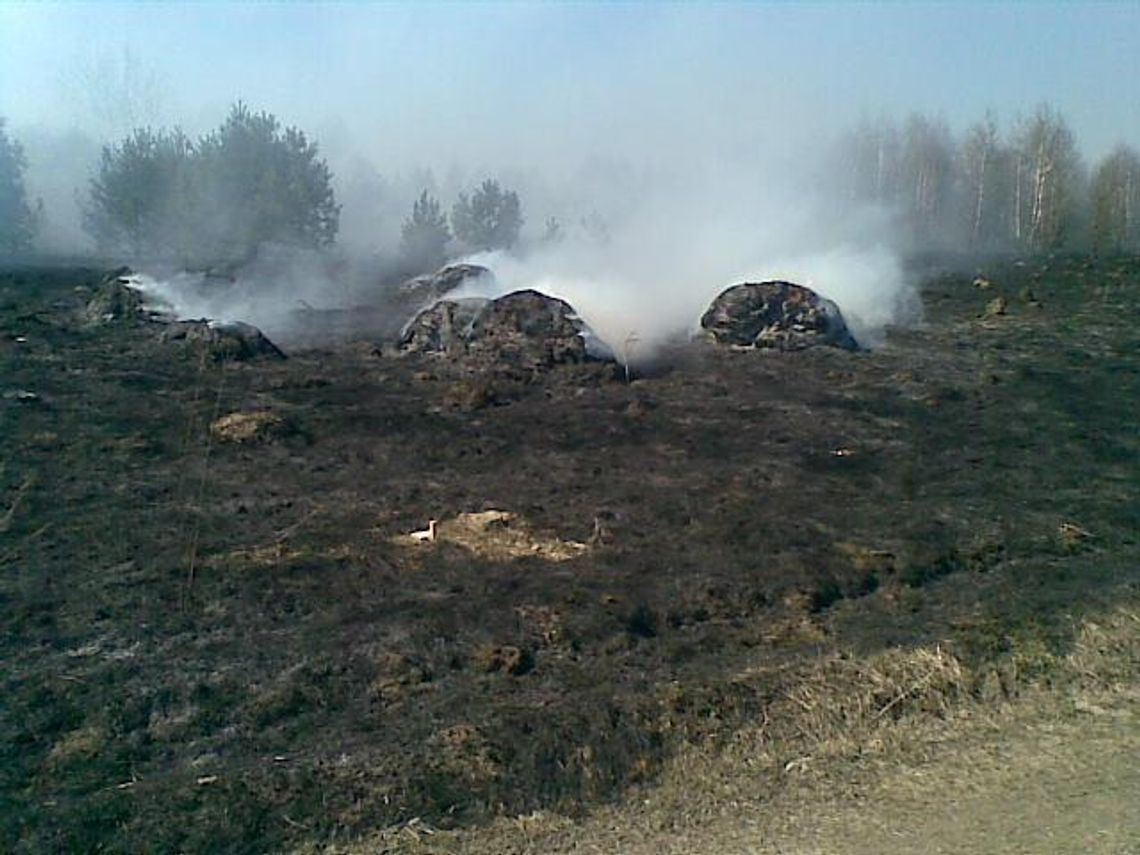 Ul. Księdza Brzóski: Pożar traw (zdjęcia)