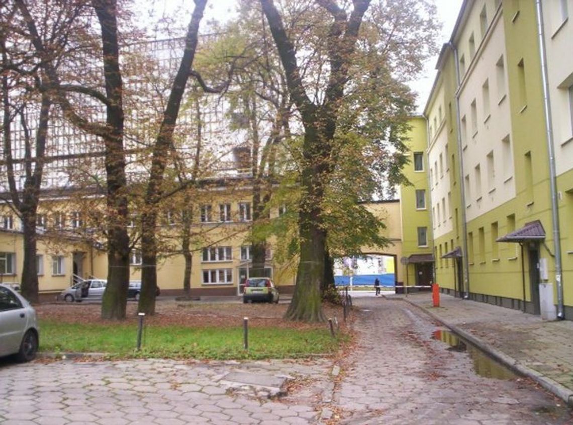 Ul. Łopacińskiego i ul. Weteranów: Wycinka będzie, ale nie wszystkich drzew Ul. Łopacińskiego i ul. Weteranów: Wycinka będzie, ale nie wszystkich drzew