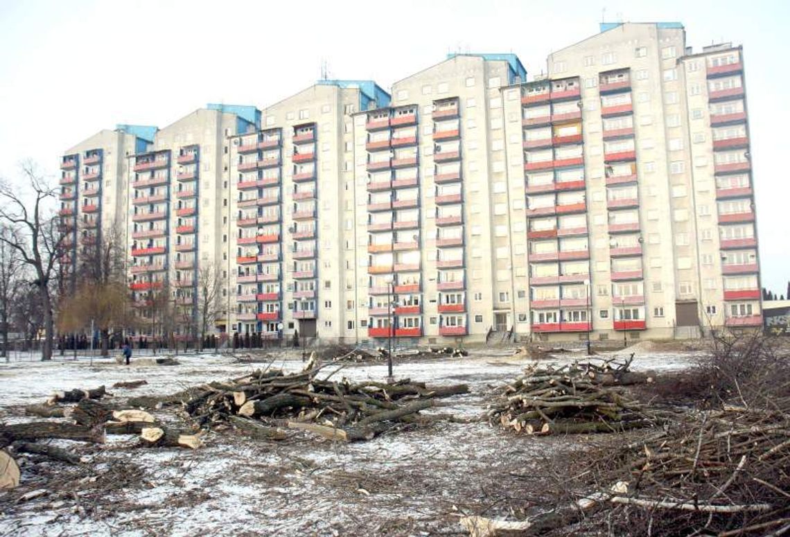 Ul. Walecznych: Drzewa ścięli, śledztwo uschło Ul. Walecznych: Drzewa ścięli, śledztwo uschło