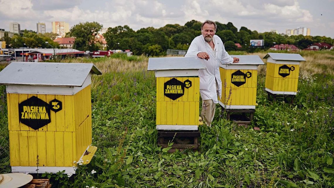 Ule w mieście to bardzo dobry pomysł (zdjęcia)